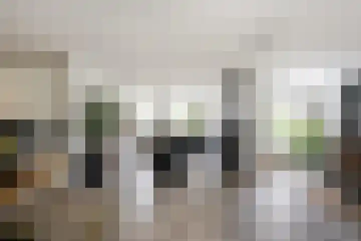 Groot Verréhof 17 Tholen thumbnail 15