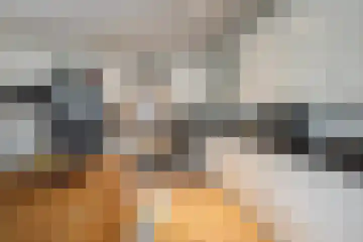 Groot Verréhof 17 Tholen thumbnail 16