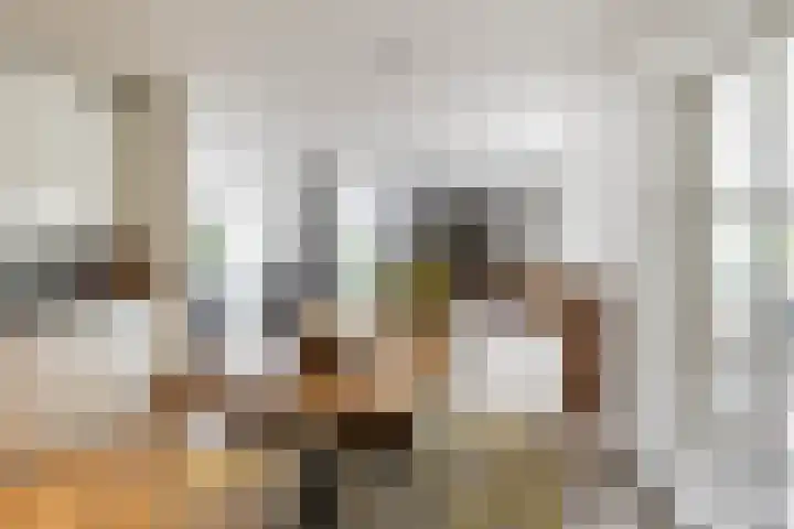 Groot Verréhof 17 Tholen thumbnail 17