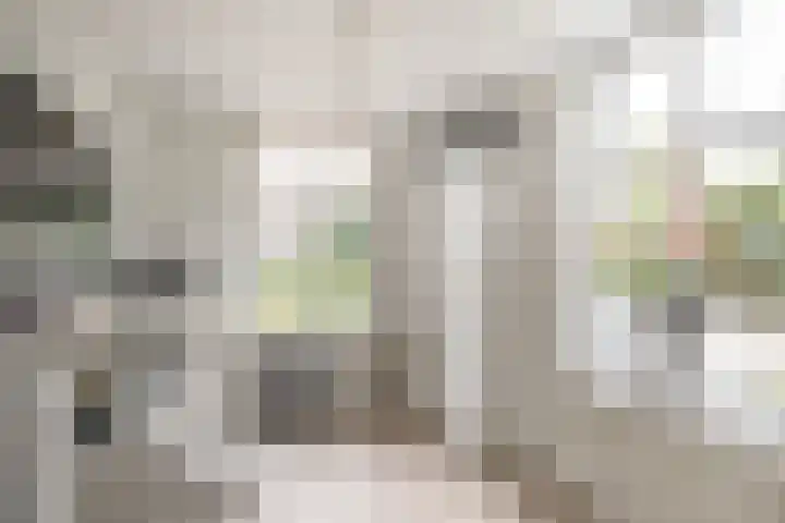 Groot Verréhof 17 Tholen thumbnail 24