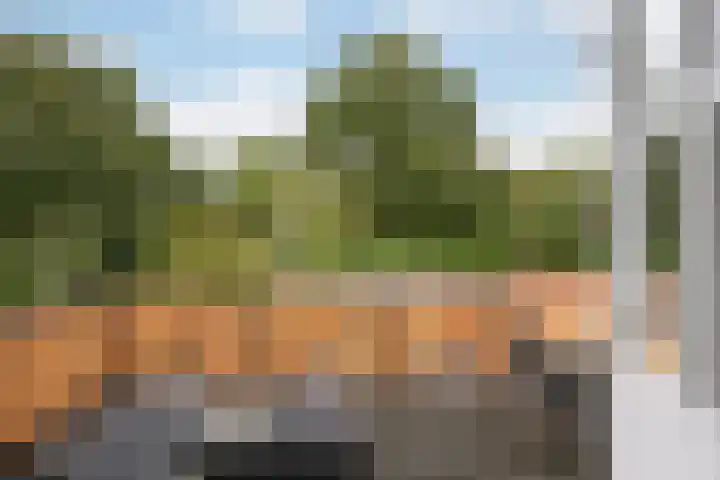 Groot Verréhof 17 Tholen thumbnail 30