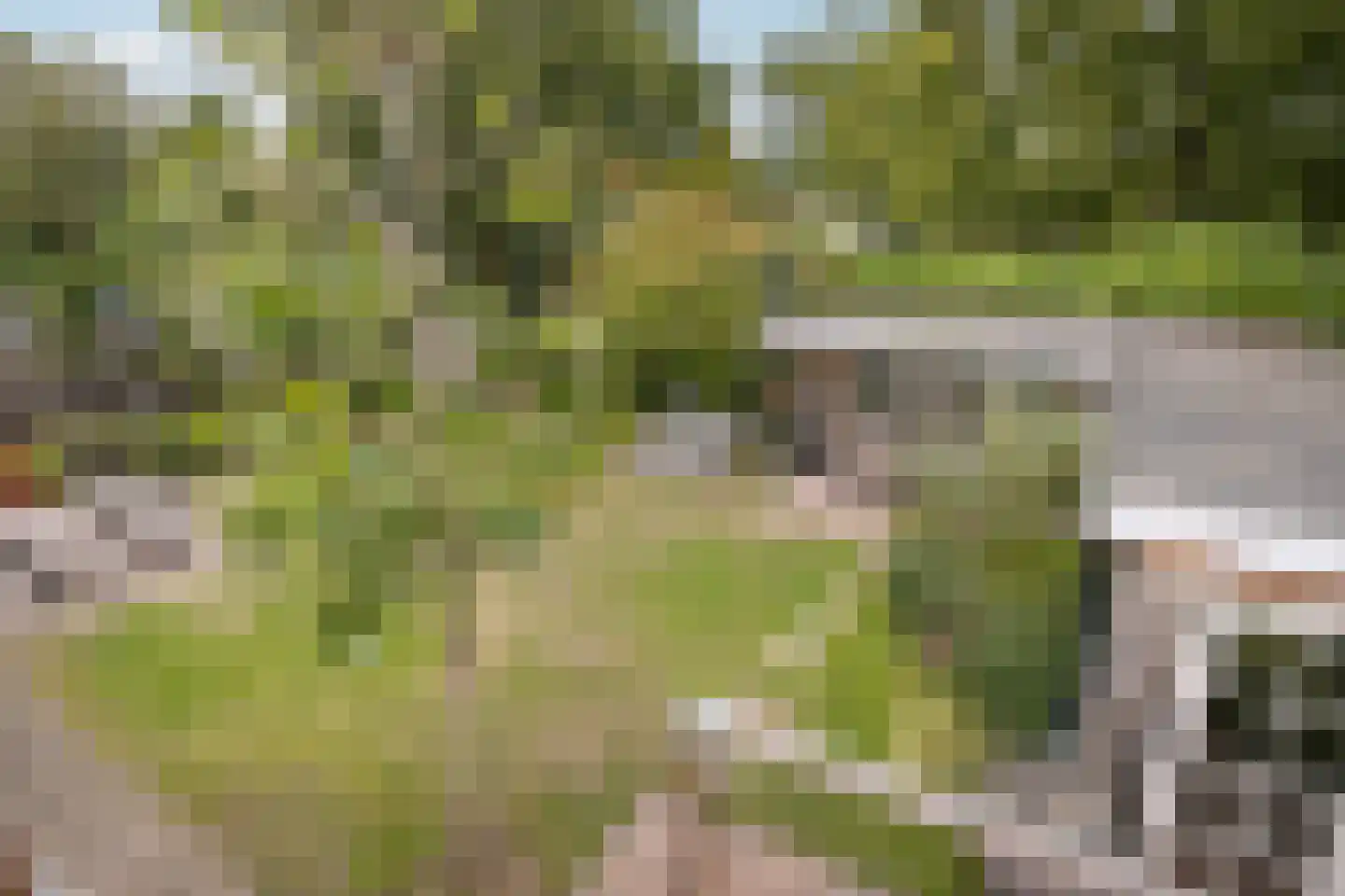 Groot Verréhof 17 Tholen thumbnail 32