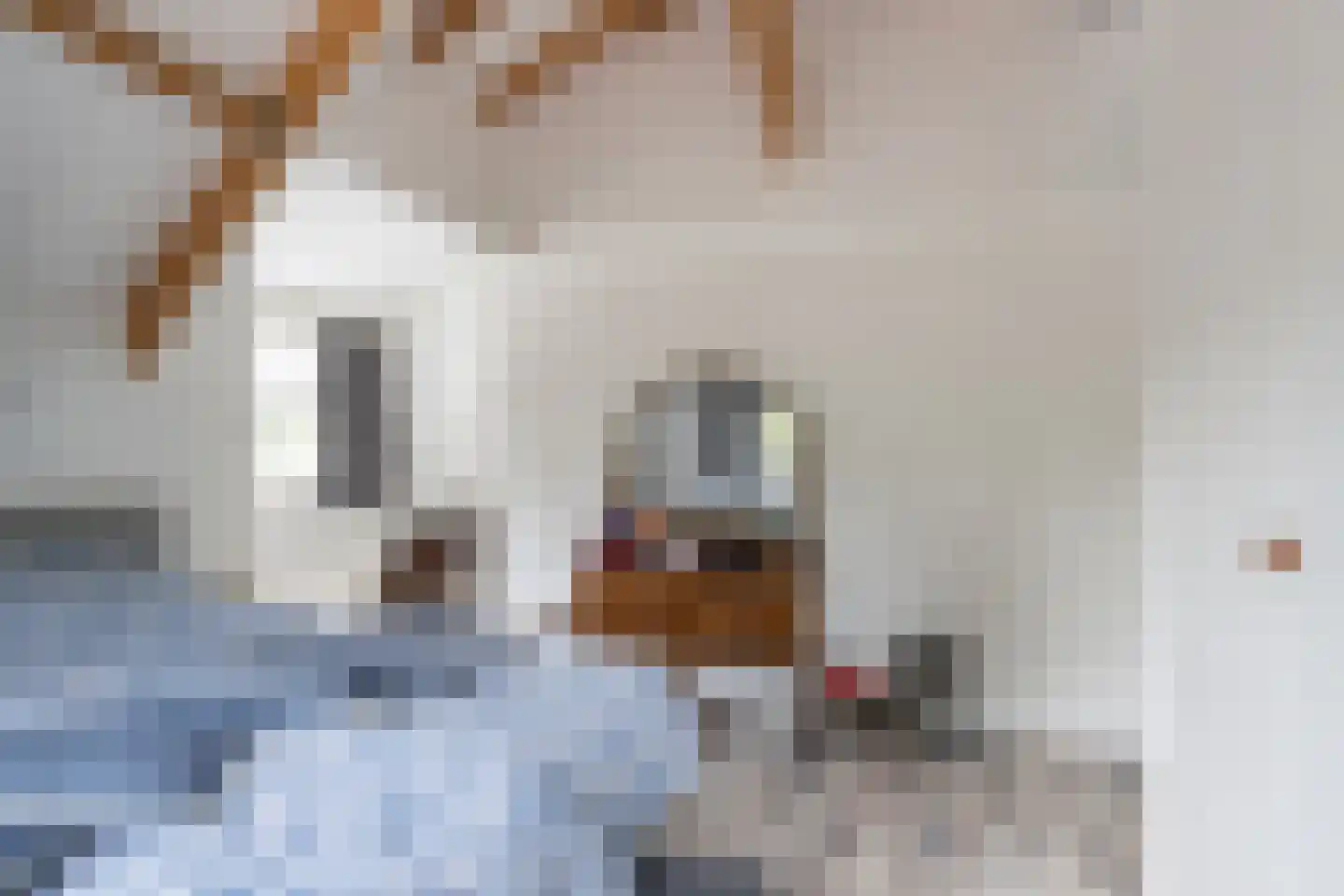 Groot Verréhof 17 Tholen thumbnail 33