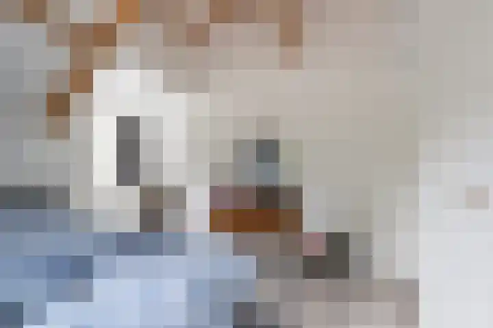 Groot Verréhof 17 Tholen thumbnail 33