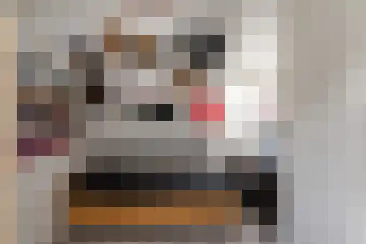 Groot Verréhof 17 Tholen thumbnail 40