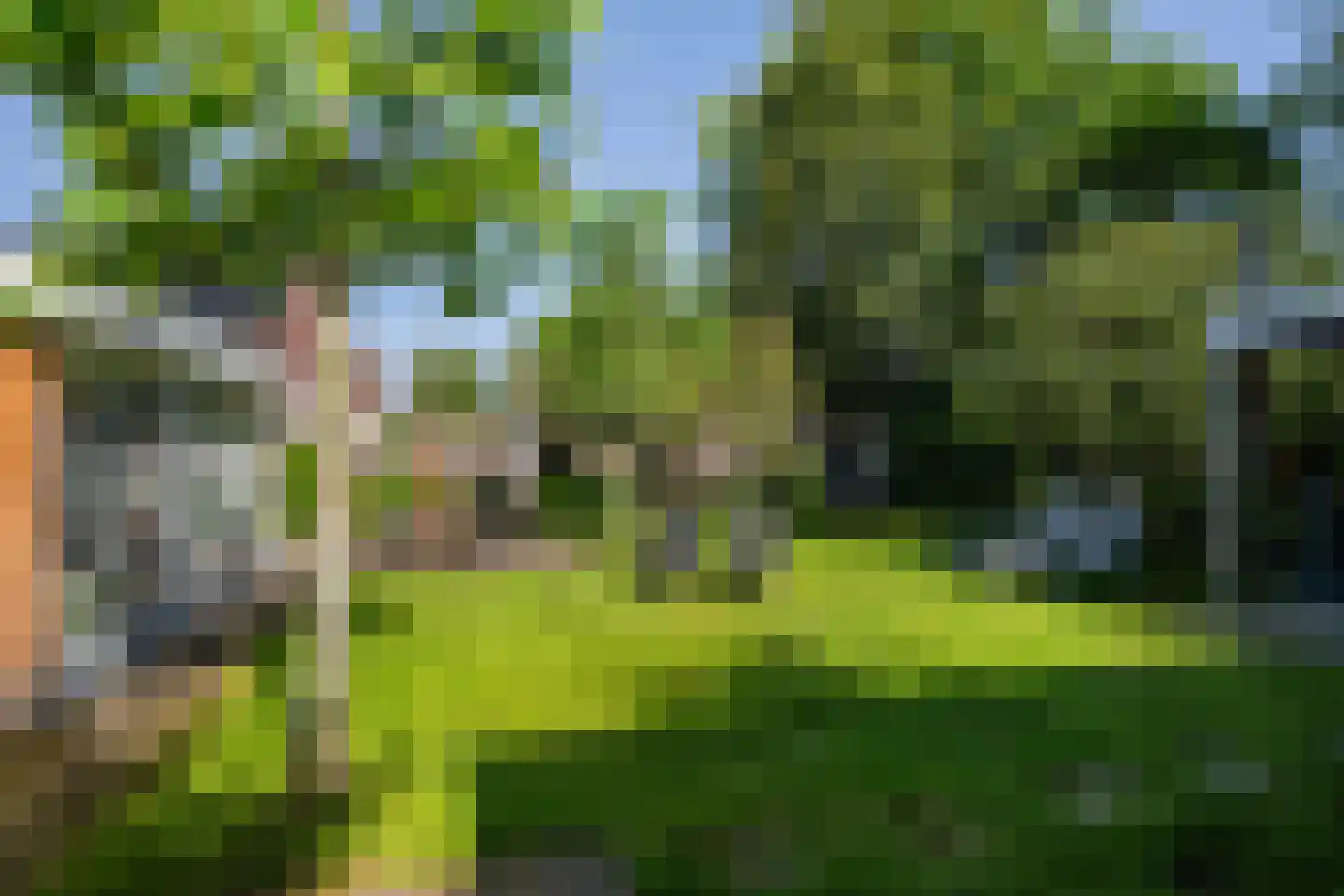 Groot Verréhof 17 Tholen thumbnail 41