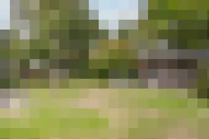 Groot Verréhof 17 Tholen thumbnail 43