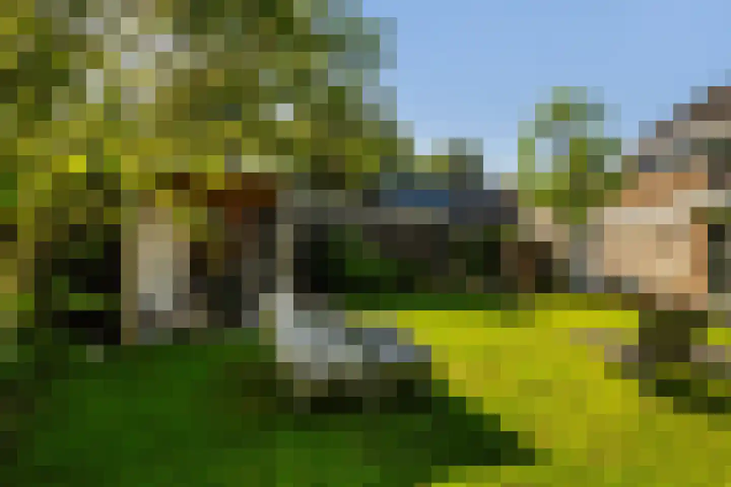 Groot Verréhof 17 Tholen thumbnail 45