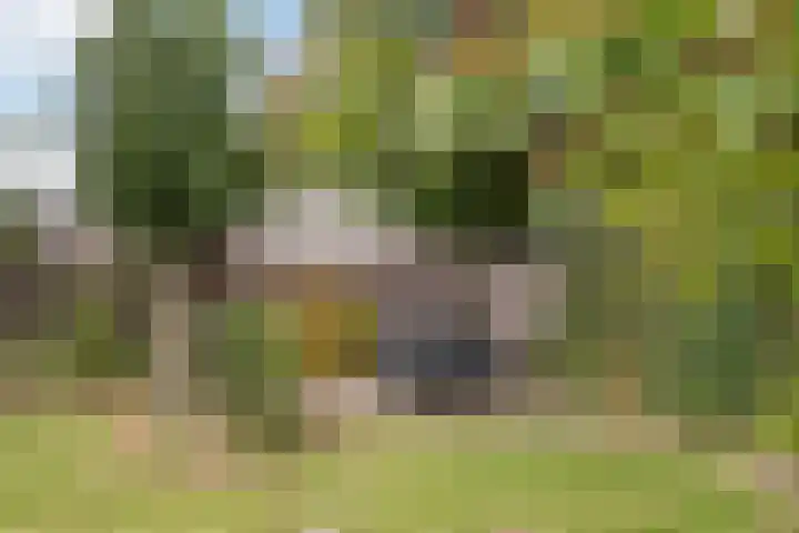 Groot Verréhof 17 Tholen thumbnail 46