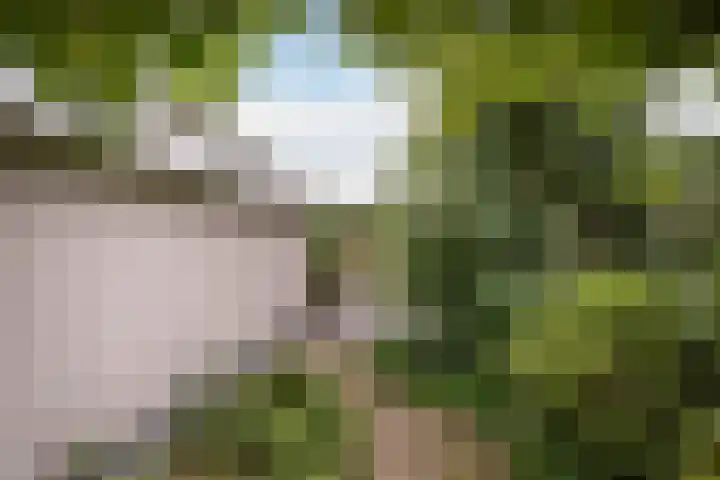 Groot Verréhof 17 Tholen thumbnail 48