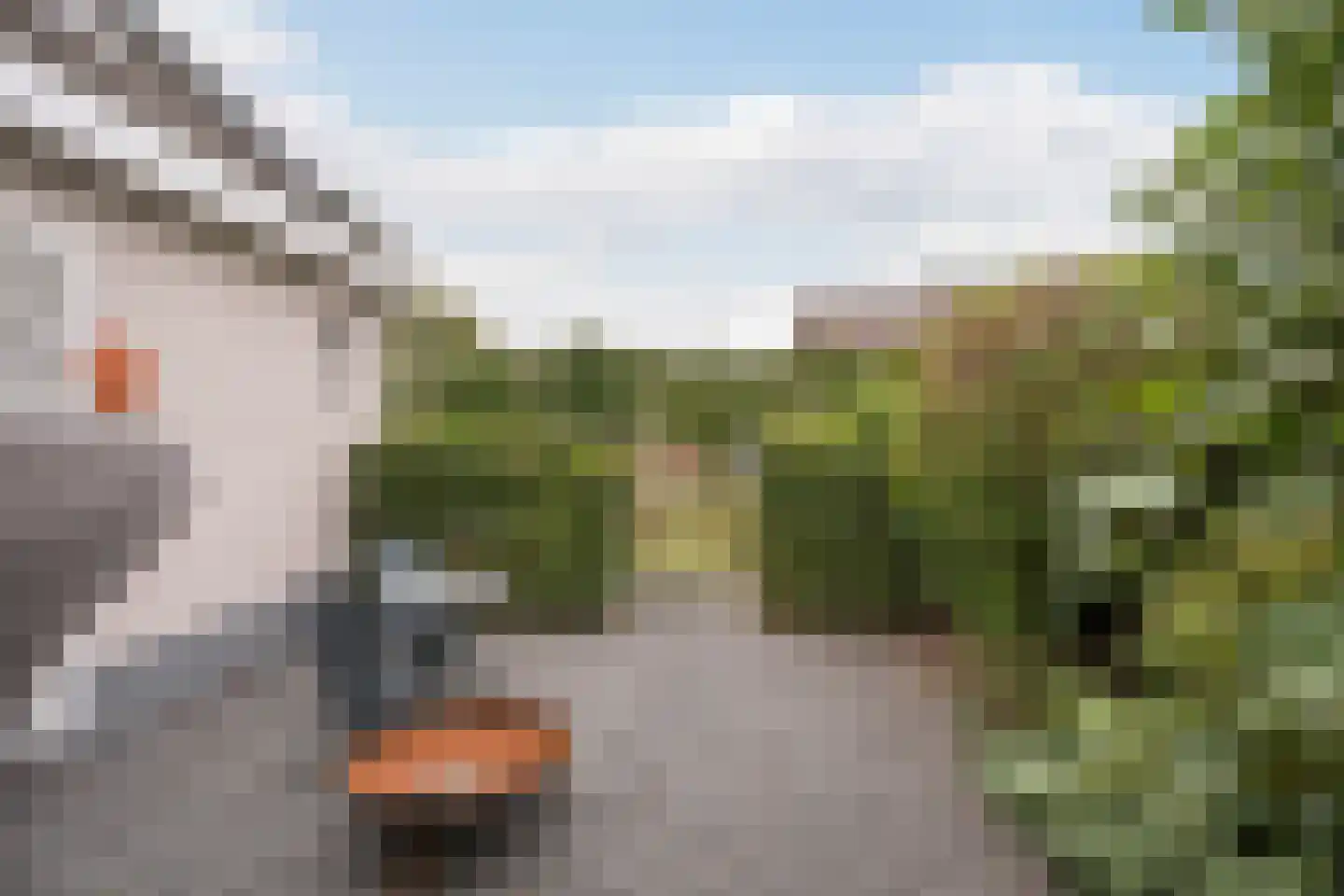 Groot Verréhof 17 Tholen thumbnail 49