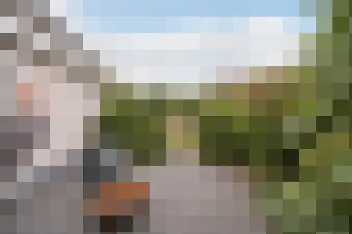 Groot Verréhof 17 Tholen thumbnail 49