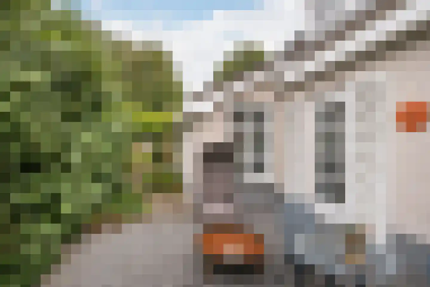 Groot Verréhof 17 Tholen thumbnail 50
