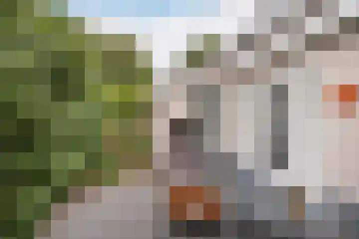 Groot Verréhof 17 Tholen thumbnail 50