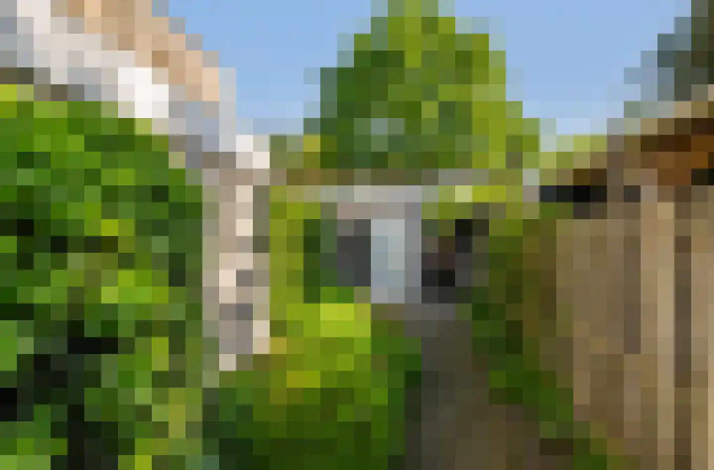 Groot Verréhof 17 Tholen thumbnail 53