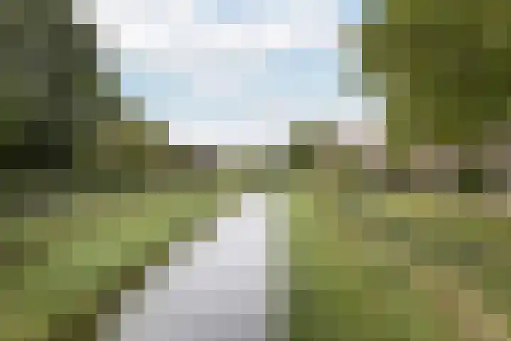 Groot Verréhof 17 Tholen thumbnail 53
