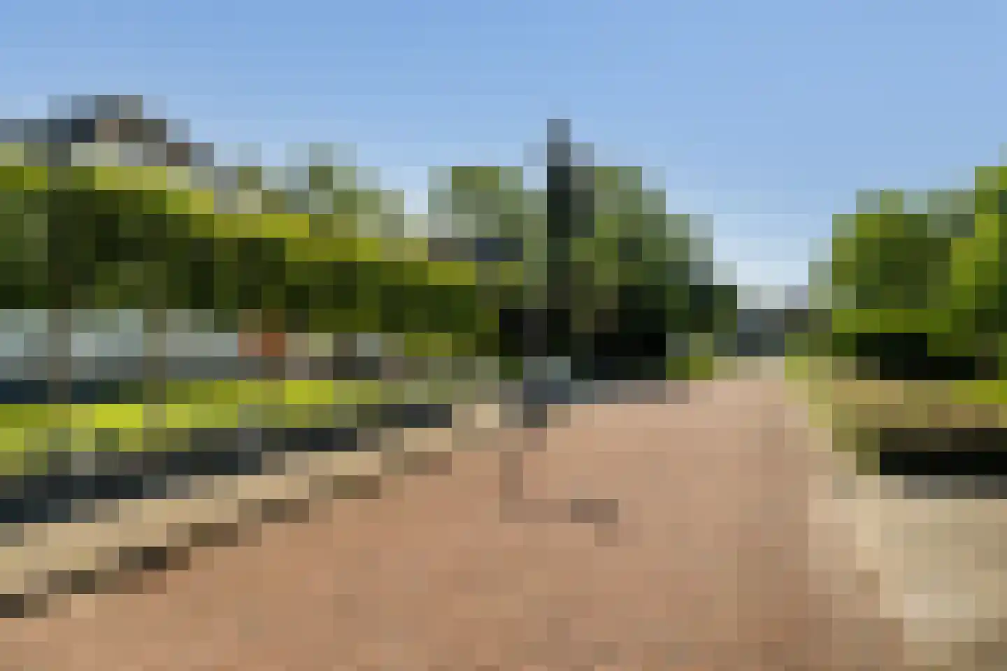 Groot Verréhof 17 Tholen thumbnail 55