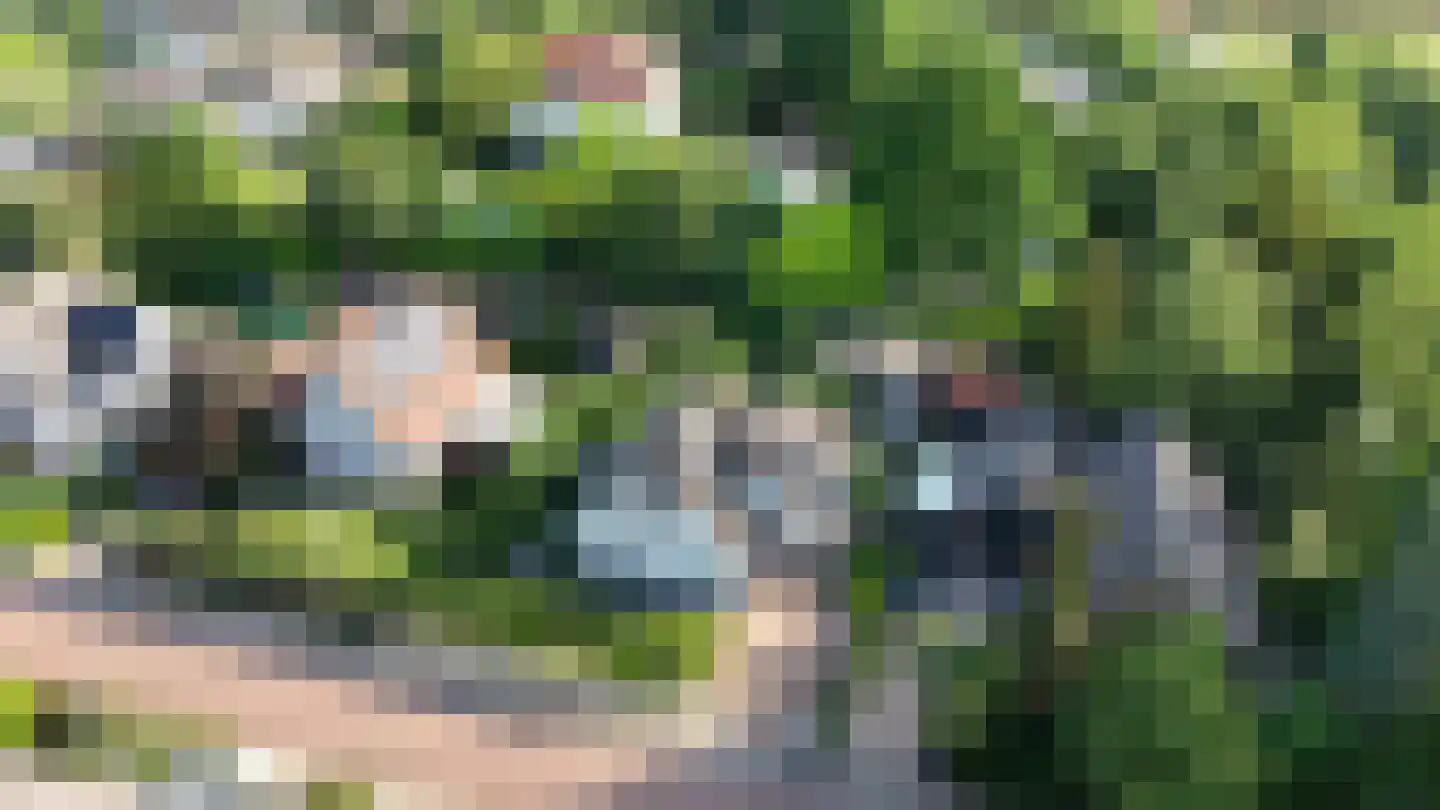 Groot Verréhof 17 Tholen thumbnail 56