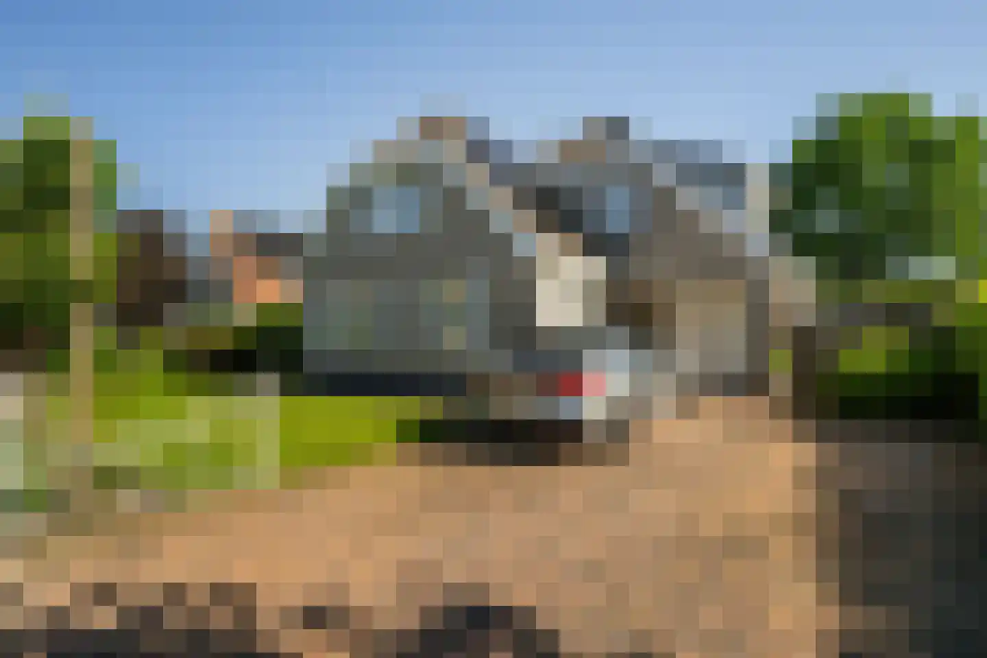 Groot Verréhof 17 Tholen thumbnail 6