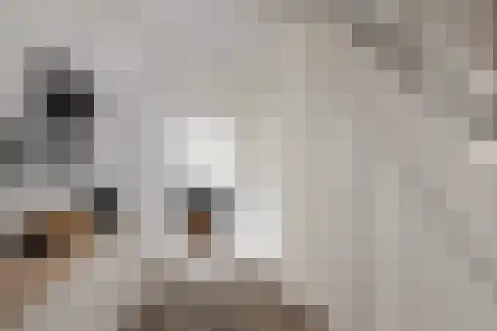 Groot Verréhof 17 Tholen thumbnail 9
