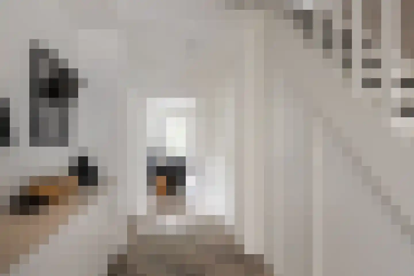 Groot Verréhof 17 Tholen thumbnail 9