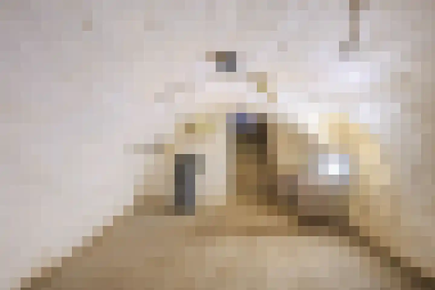 Groot Welsden 110 Margraten thumbnail 34