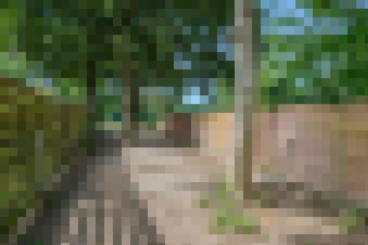 Groot Welsden 110 Margraten thumbnail 40