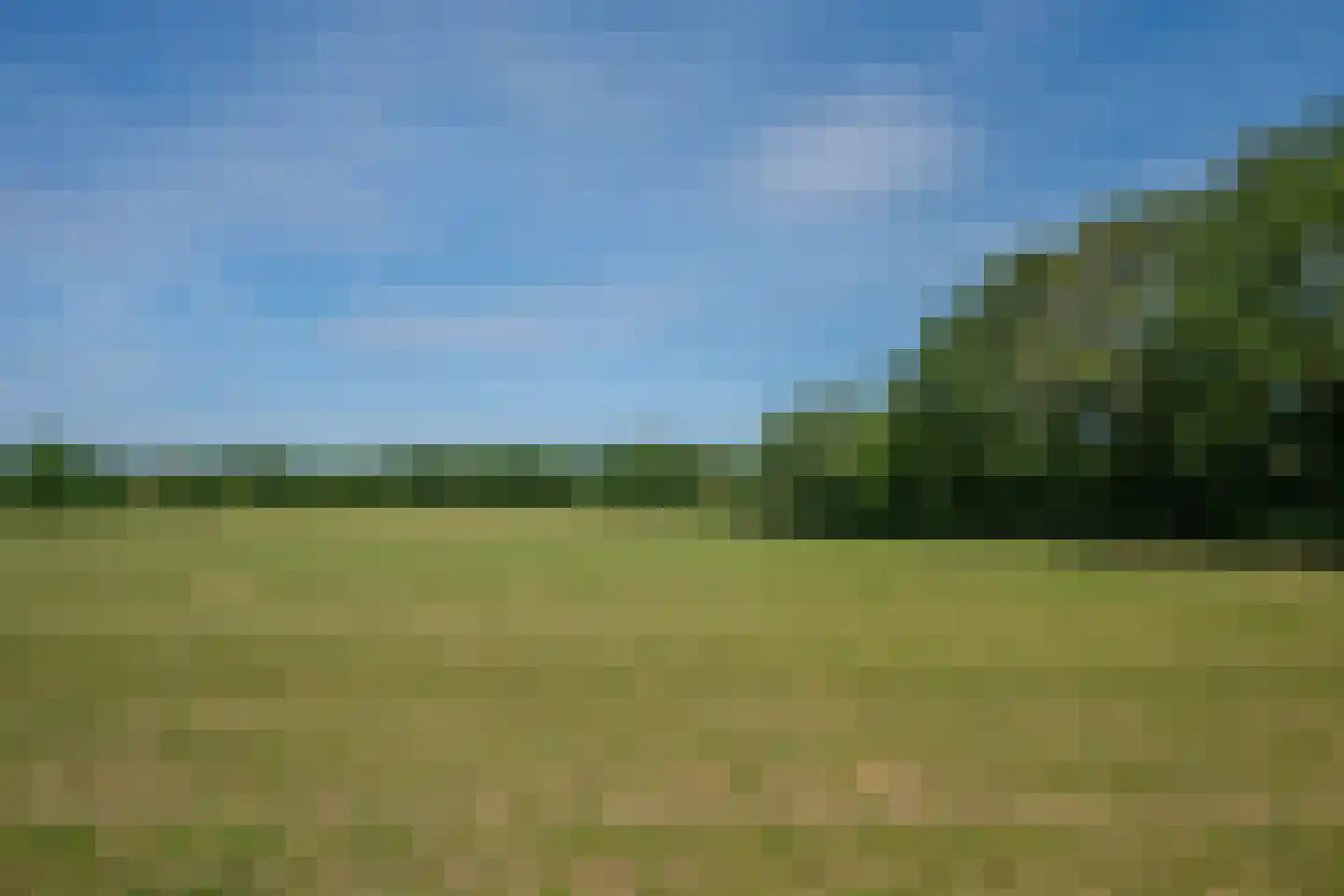 Groot Welsden 110 Margraten thumbnail 45