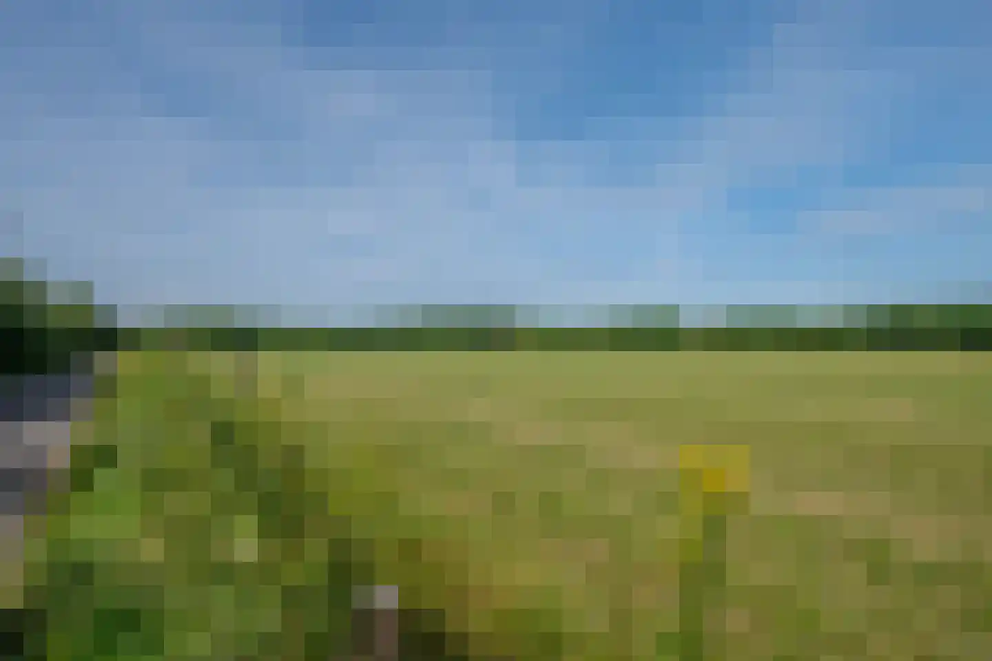 Groot Welsden 110 Margraten thumbnail 46