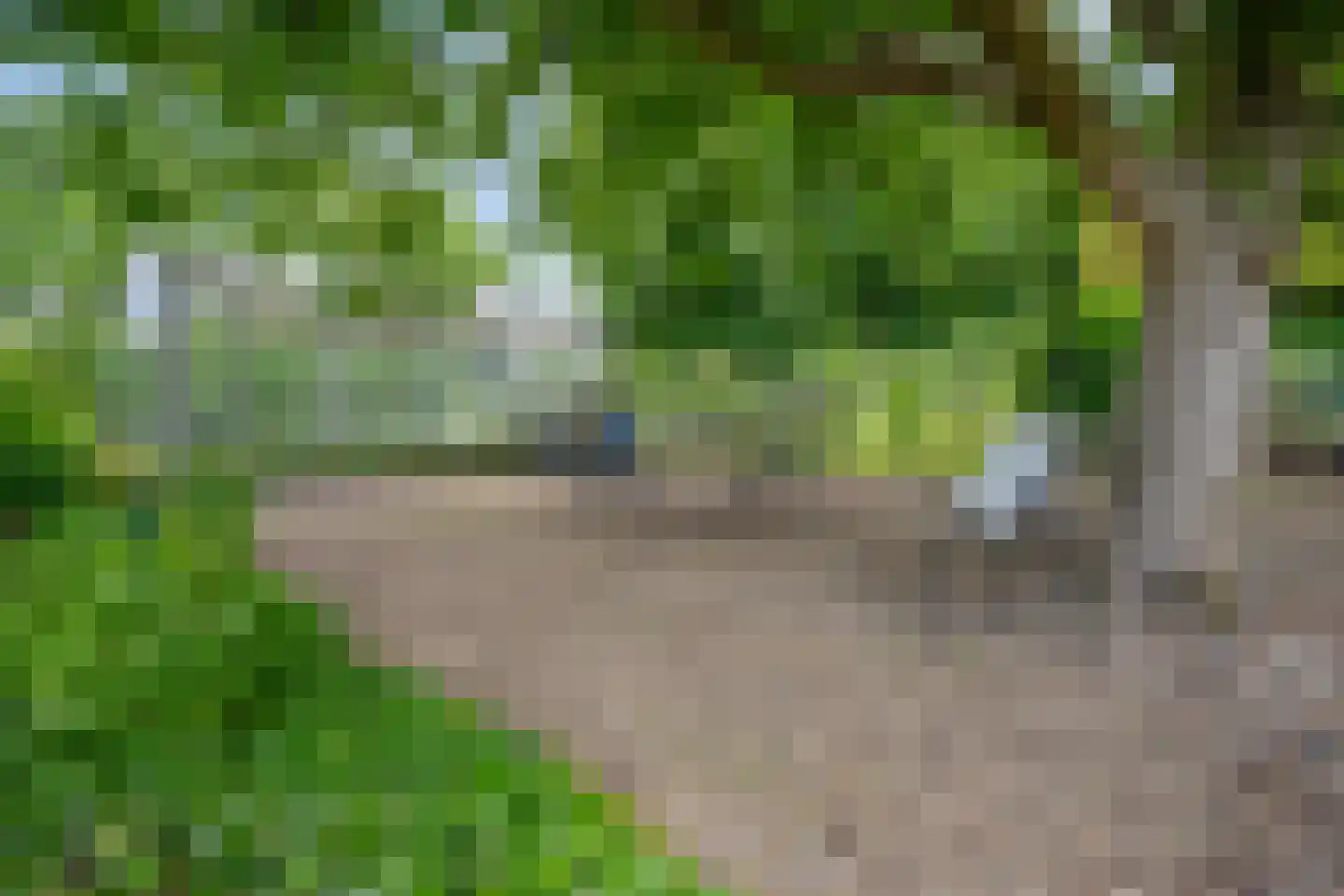 Groot Welsden 13 Margraten thumbnail 42