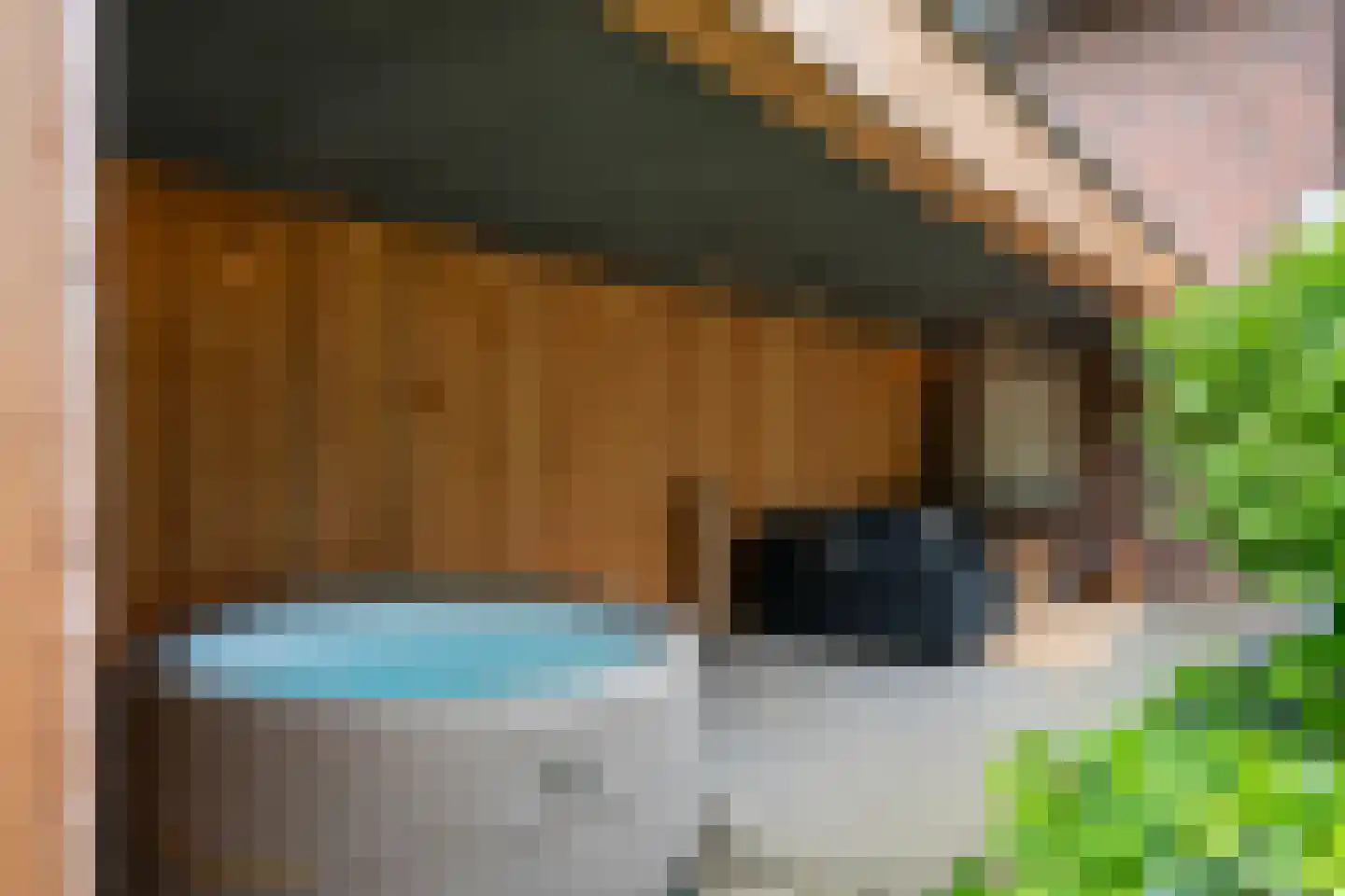 Groot Welsden 13 Margraten thumbnail 48