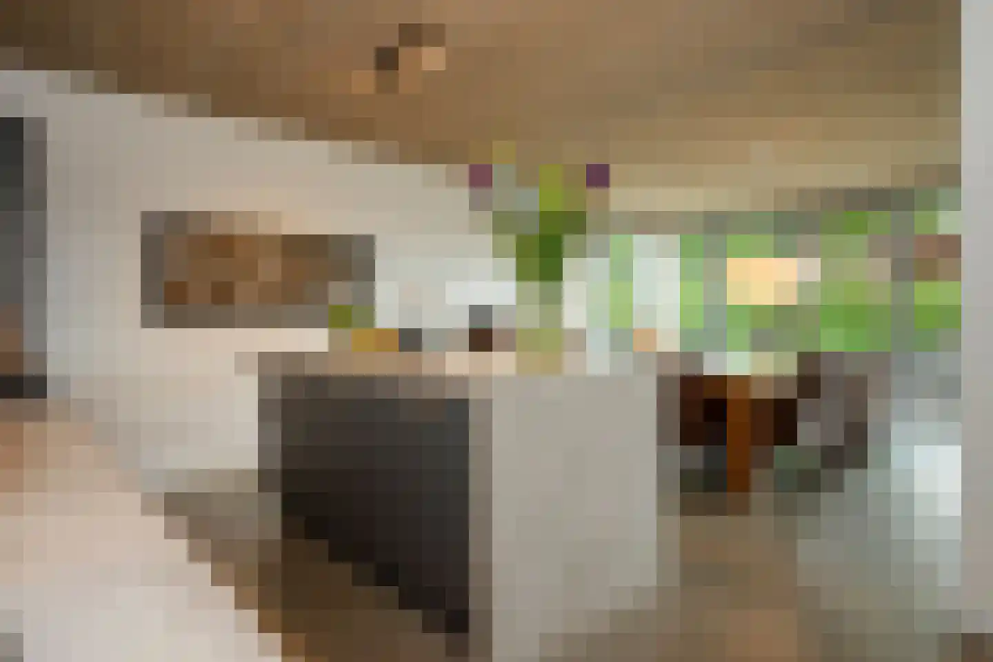 Groot Welsden 13 Margraten thumbnail 9