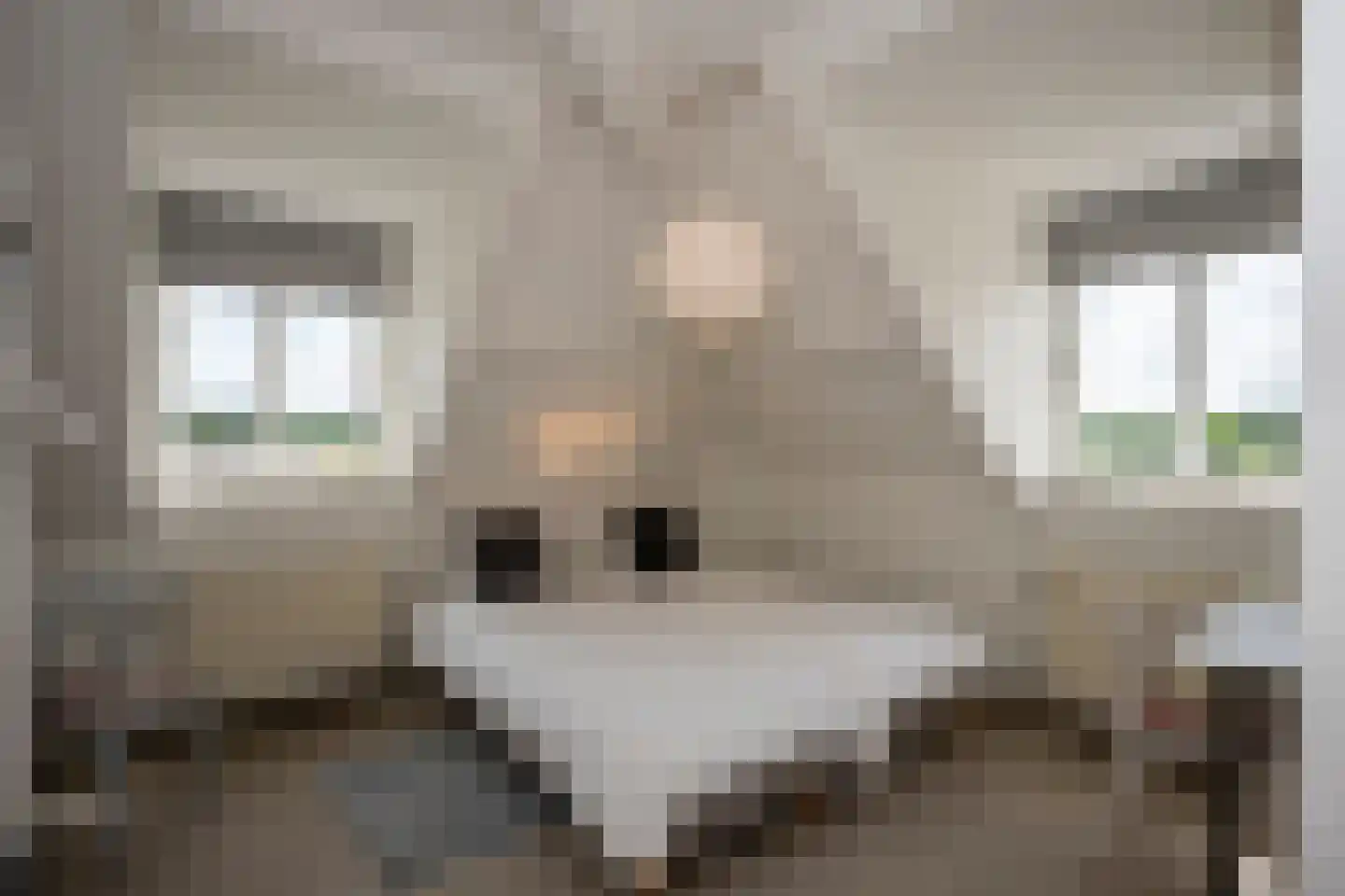 Groot Welsden 13 Margraten thumbnail 92