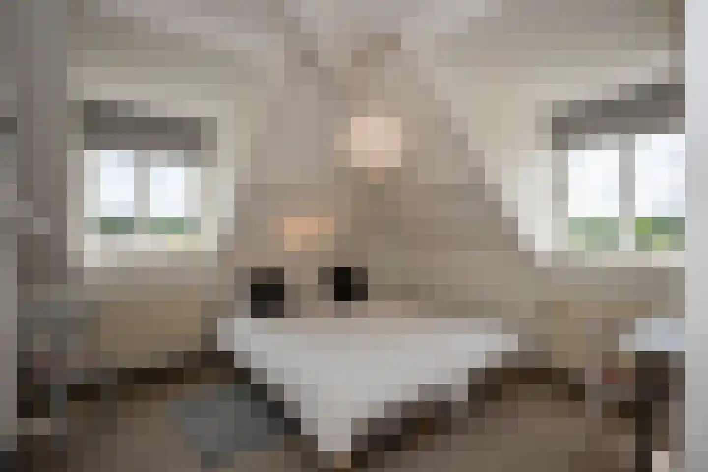 Groot Welsden 13 Margraten thumbnail 92