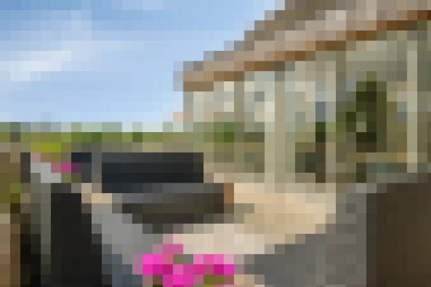 Groot Welsden 13 Margraten thumbnail 98