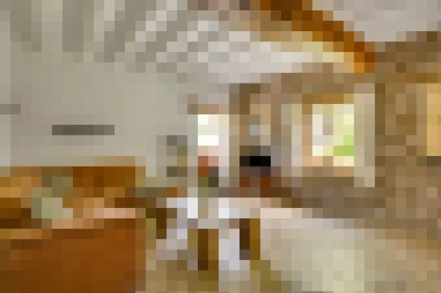 Groot Welsden 40 Margraten thumbnail 11