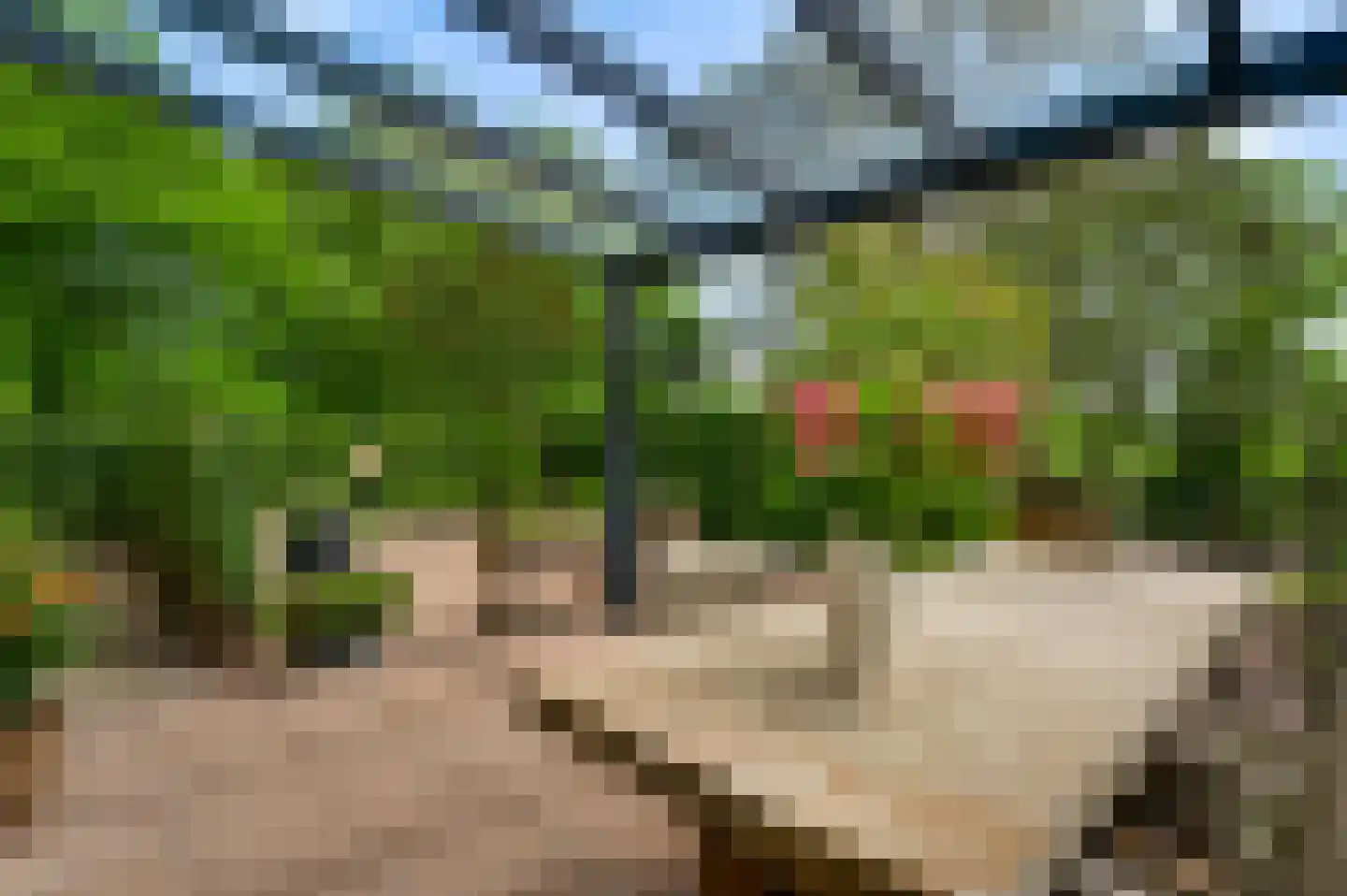 Groot Welsden 40 Margraten thumbnail 15