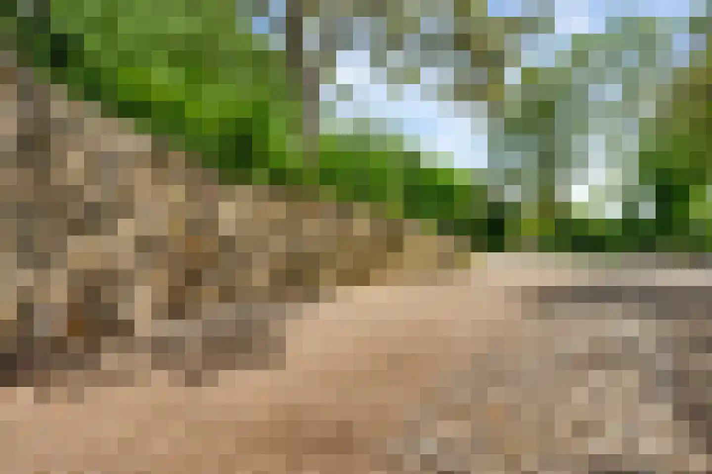 Groot Welsden 40 Margraten thumbnail 30
