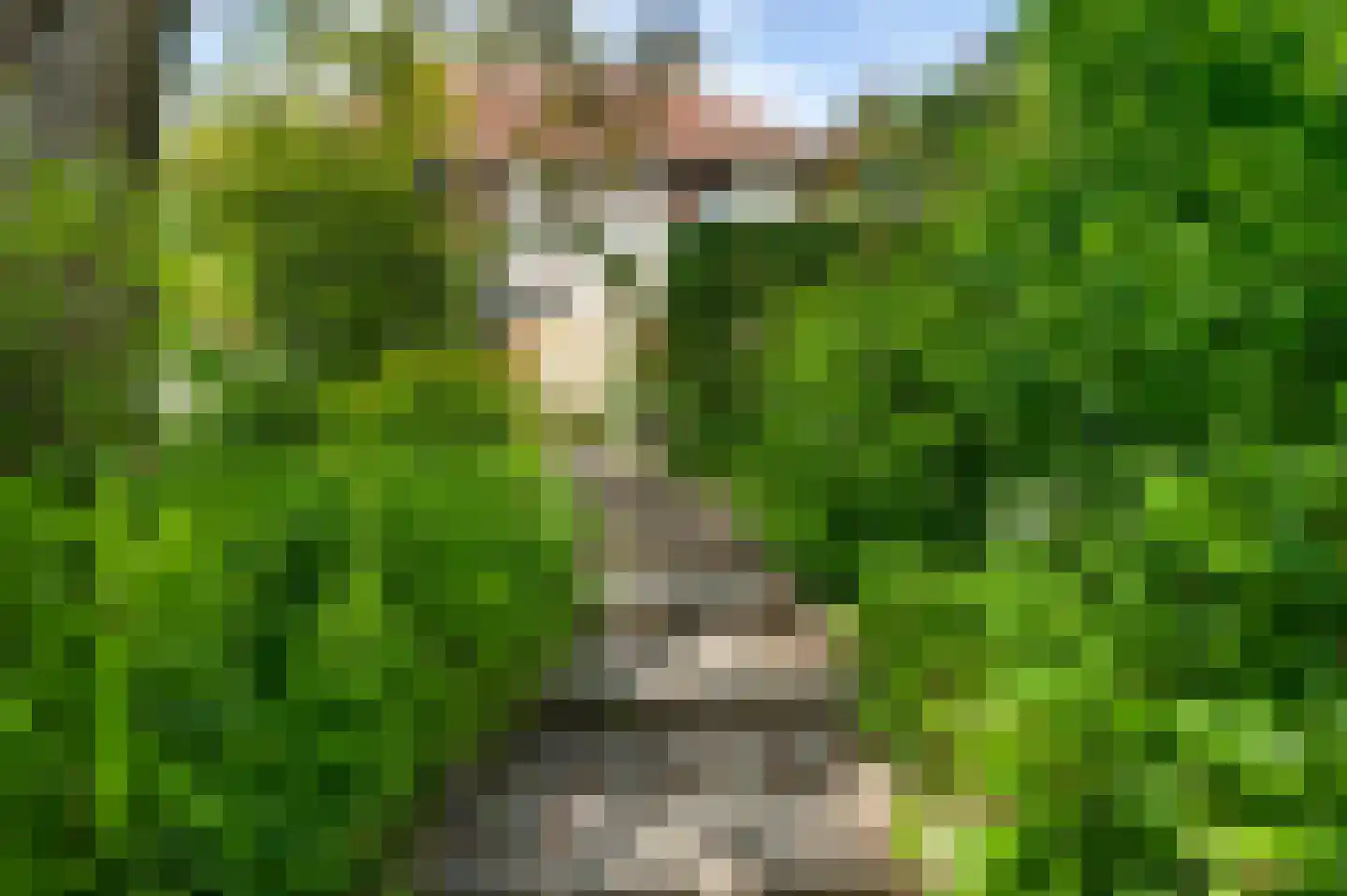 Groot Welsden 40 Margraten thumbnail 31