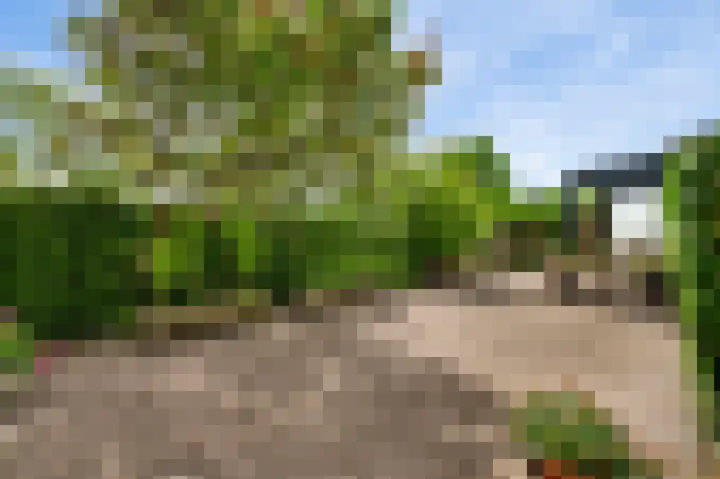 Groot Welsden 40 Margraten thumbnail 32