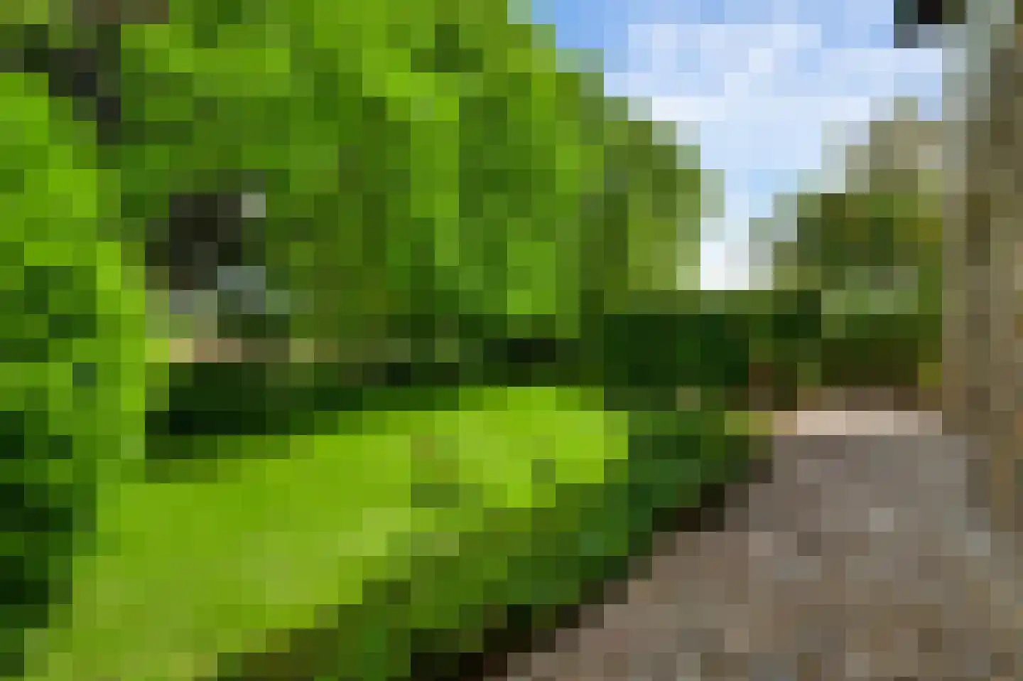 Groot Welsden 40 Margraten thumbnail 36