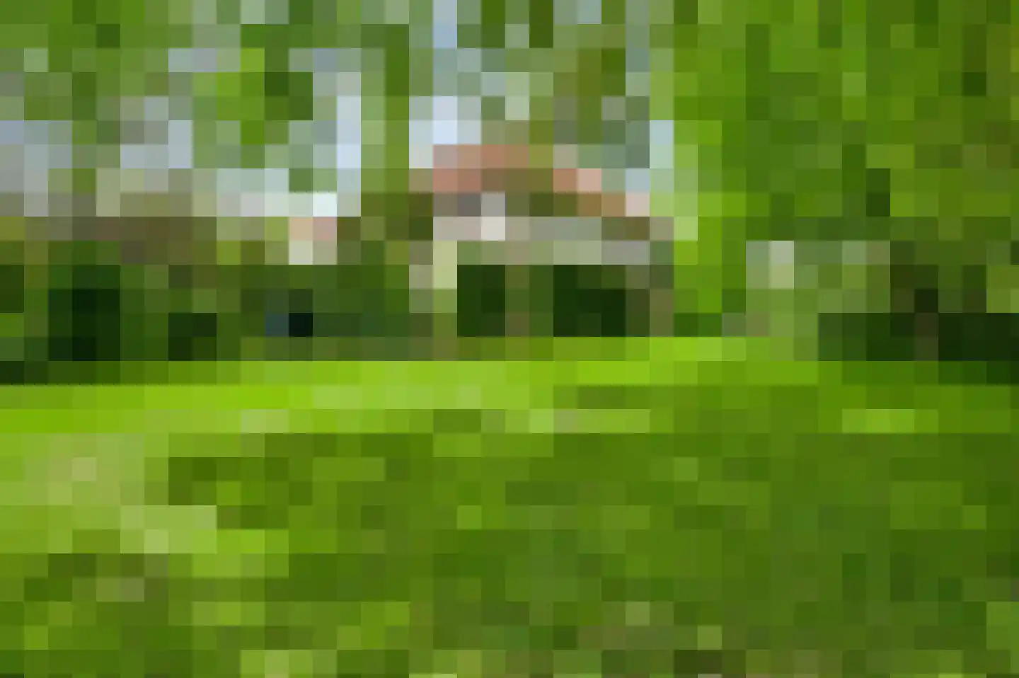 Groot Welsden 40 Margraten thumbnail 37