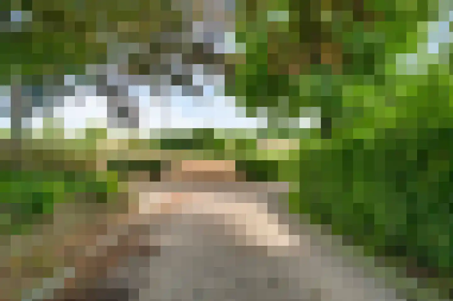 Groot Welsden 40 Margraten thumbnail 41