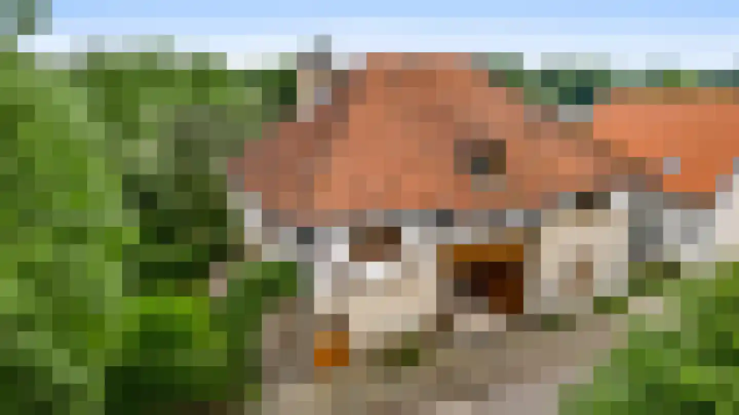 Groot Welsden 40 Margraten thumbnail 45