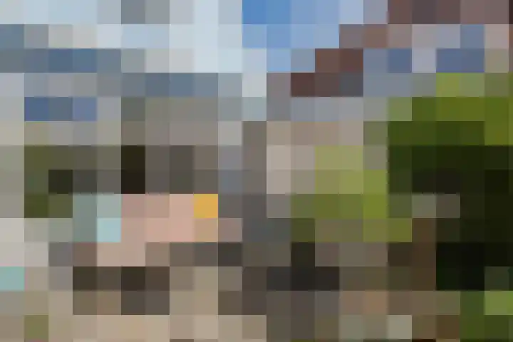 Groot Westerbuiten 19 Edam thumbnail 25