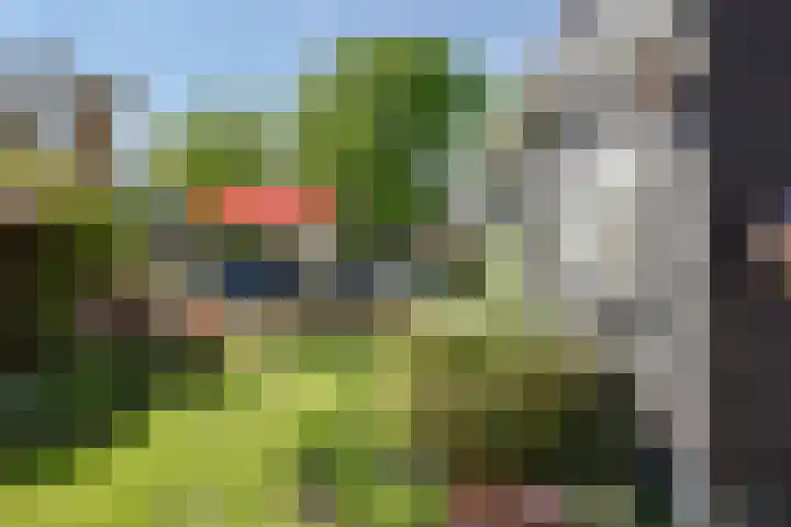 Groot Westerbuiten 19 Edam thumbnail 27
