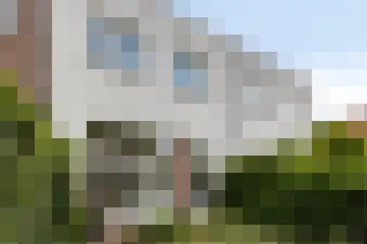 Groot Westerbuiten 24 Edam thumbnail 28