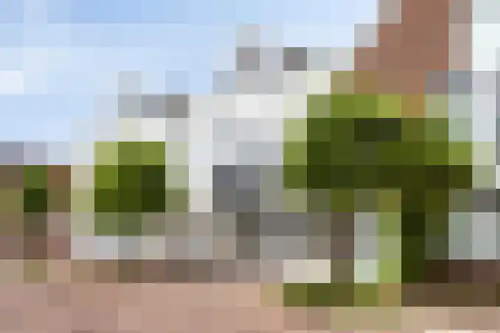 Groot Westerbuiten 24 Edam thumbnail 32