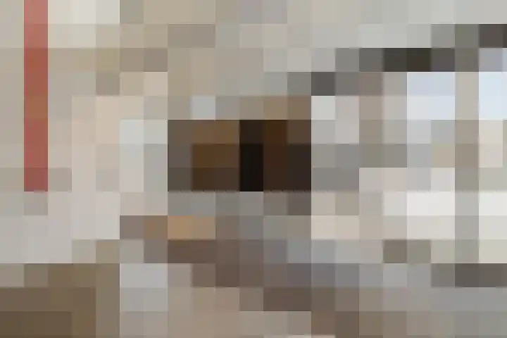 Groot Westerbuiten 24 Edam thumbnail 4