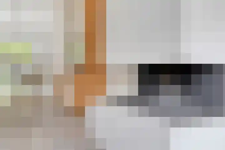 Groot Westerbuiten 24 Edam thumbnail 9